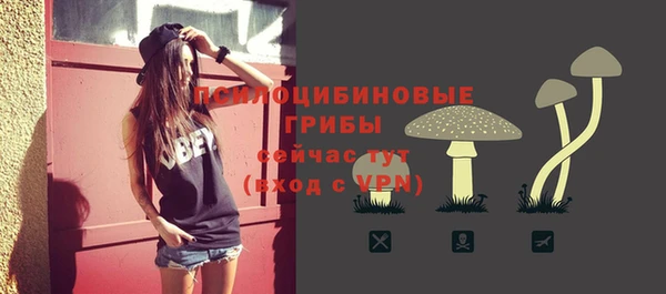 тгк Бугульма